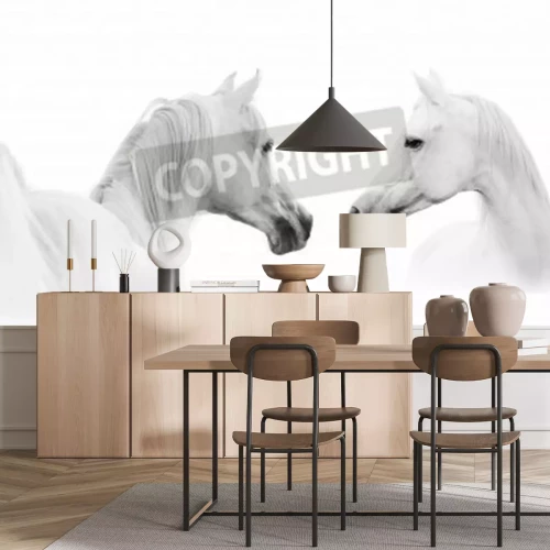 Fototapete Zwei araber