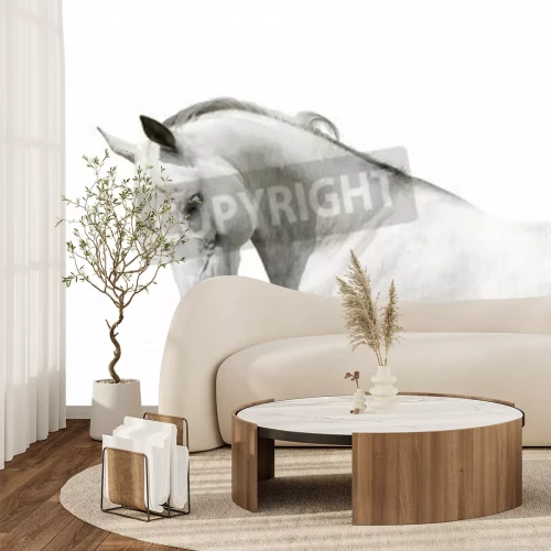 Fototapete Weißes pferd auf hellem hintergrund