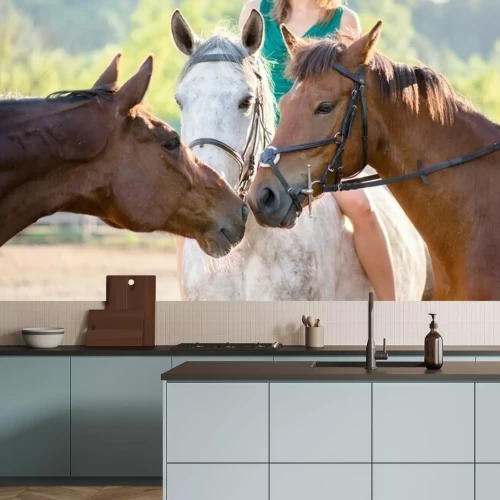 Fototapete Bunte pferde im auslauf