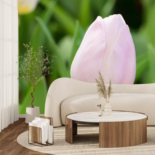 Sticker Rosa Tulpe und Grün