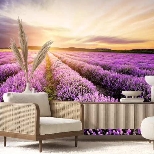 Fototapete Lavender Sunrise
