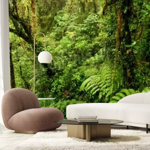 Fototapete Grüne Natur im Dschungel