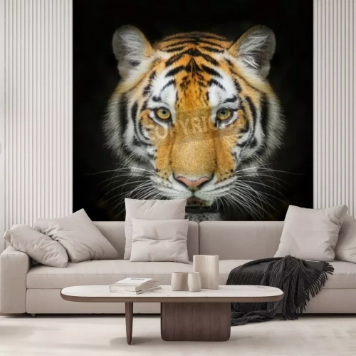 Fototapete Porträt eines tieres auf schwarzem hintergrund