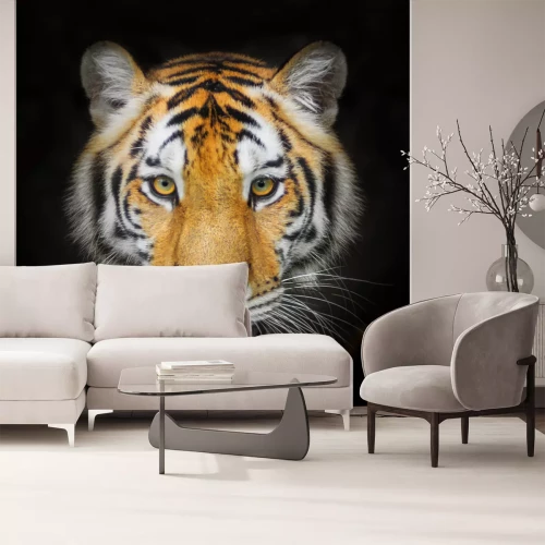 Fototapete Porträt eines tieres auf schwarzem hintergrund