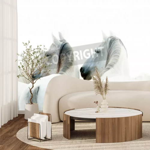 Fototapete Drei weiße pferde auf hellem hintergrund