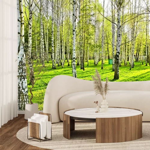 Fototapete Birken und Schatten