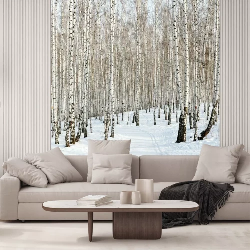 Fototapete Kleine Birken im Winter