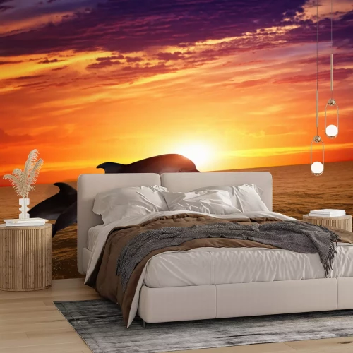 Fototapete Springende Delfine und Sonnenuntergang