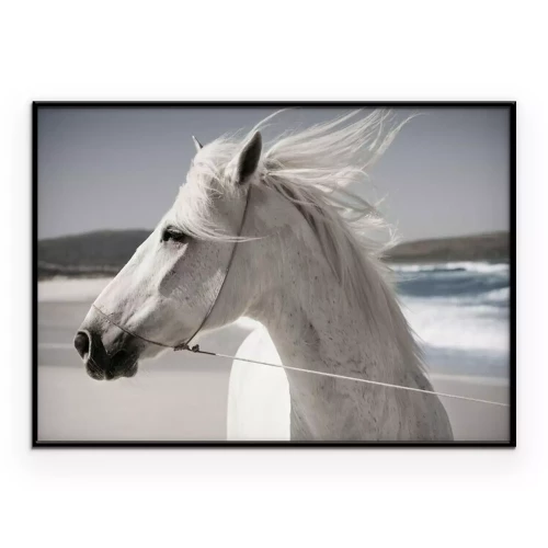 Poster Ein Pferd am Strand am Meer