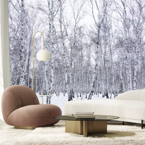 Fototapete Winterlicher kleiner Birkenwald