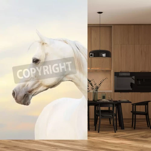 Fototapete Weißer araber