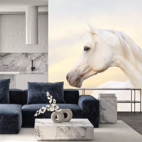 Fototapete Weißer araber