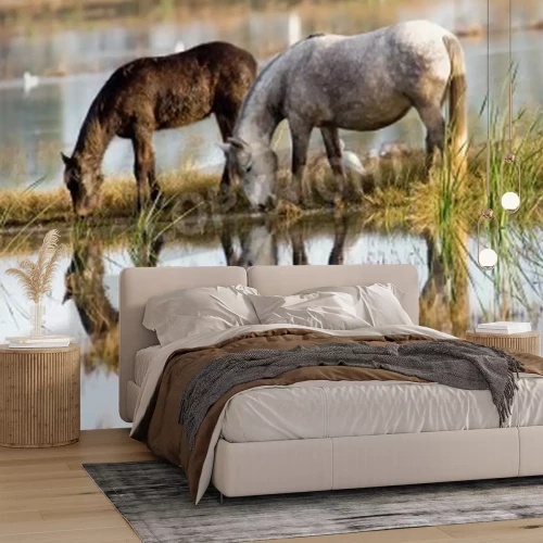 Fototapete Pferde, die sich auf der seeoberfläche widerspiegeln