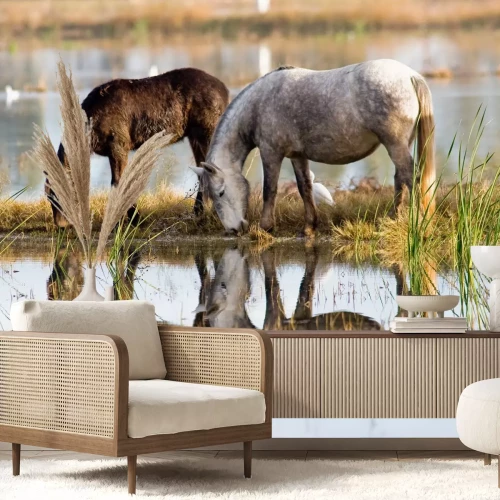 Fototapete Pferde, die sich auf der seeoberfläche widerspiegeln