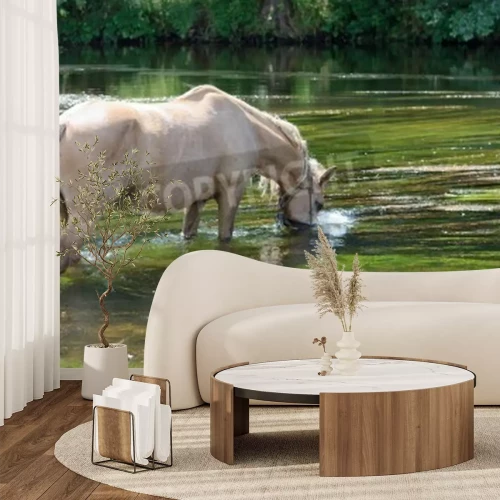 Fototapete Pferd trinkt wasser aus einem see