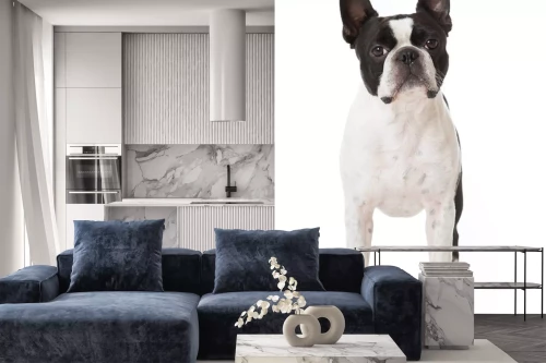 Visualisierung des Produkts