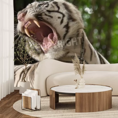 Fototapete Gefährlicher tiger im dschungel