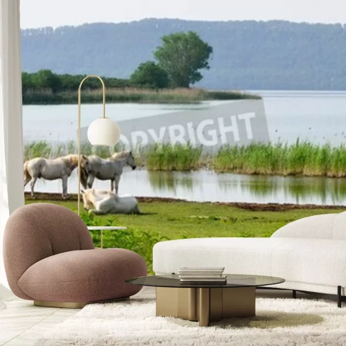 Fototapete Pferde am see