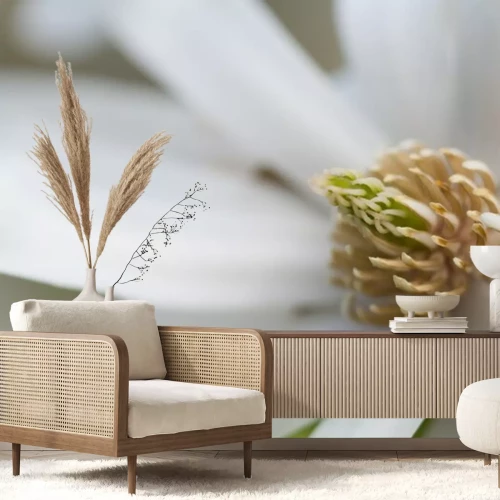 Sticker Makrofotografie einer Magnolienmitte