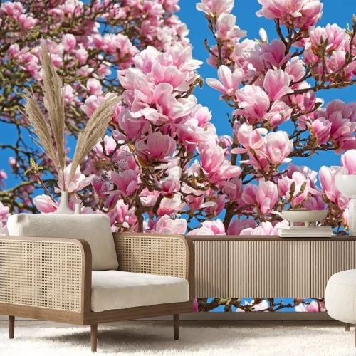 Sticker Zweige einer blühenden Magnolie