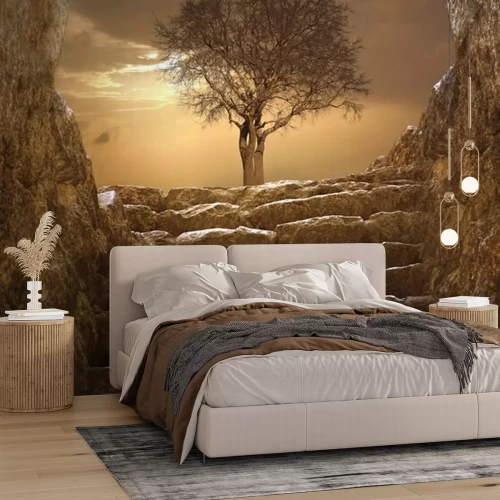 Fototapete Treppen mit Ausblick auf Baum