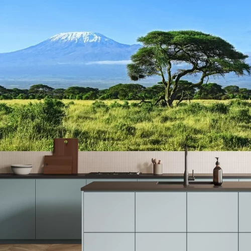 Fototapete Grüne Landschaft mit dem Kilimandscharo im Hintergrund