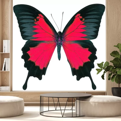 Sticker rot-schwarzer Schmetterling auf weißem Hintergrund