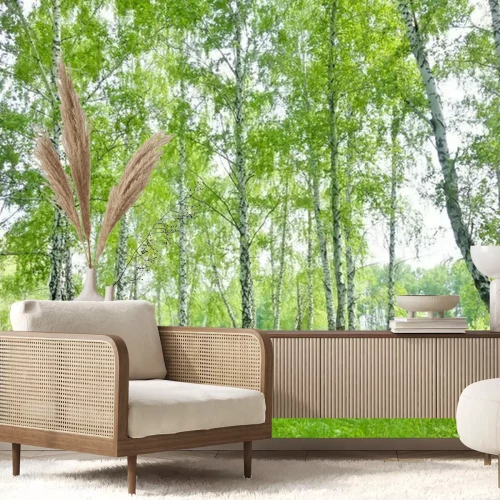 Fototapete Grüner Birkenwald im Hochsommer