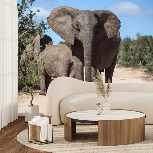 Sticker Zwei Elefanten auf dem Pfad