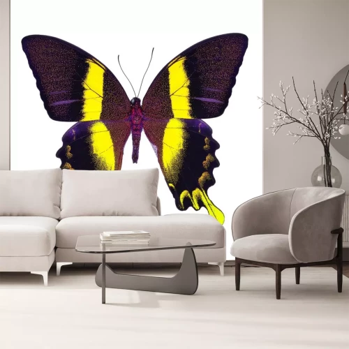 Sticker Bunter Schmetterling auf weißem Hintergrund