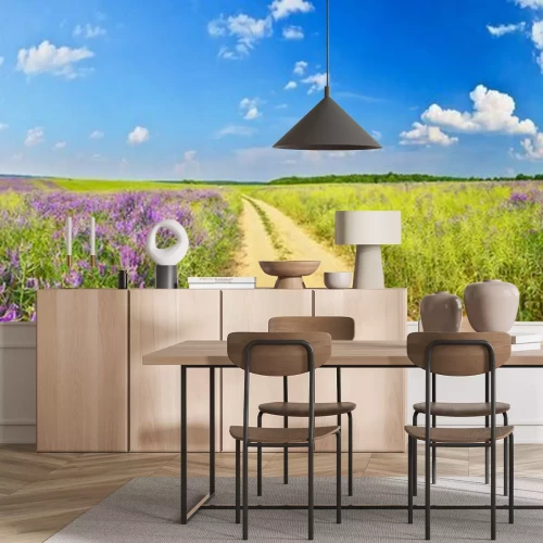 Fototapete Panorama Landstraße und Feldgräser