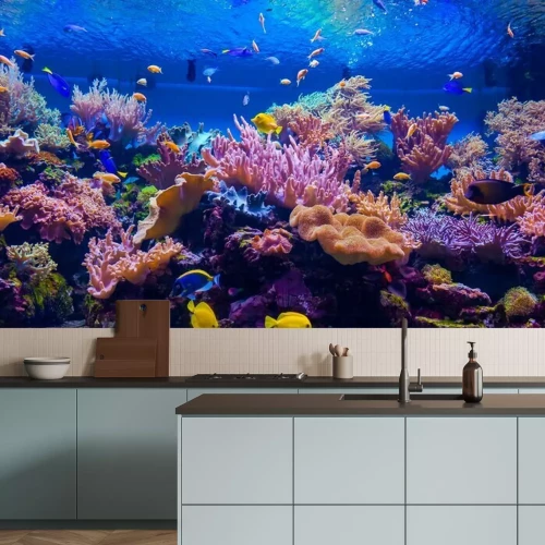 Fototapete Korallenriff und tropische Fische