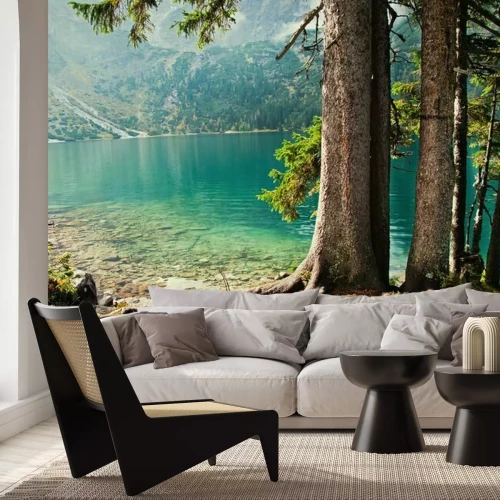 Fototapete Bäume Wald See