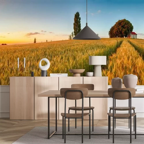 Fototapete Sonniges Panorama mit Weizenfeld