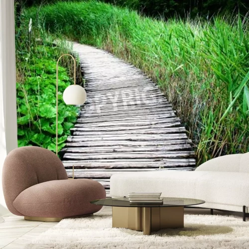 Fototapete Holzsteg inmitten von Pflanzen