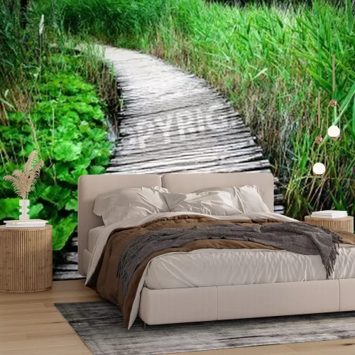 Fototapete Holzsteg inmitten von Pflanzen
