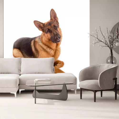 Sticker Neugieriger Deutscher Schäferhund