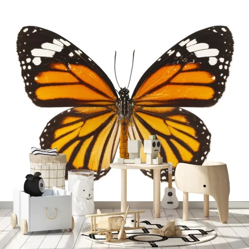 Sticker Großer Schmetterling mit orange-schwarzen Flügeln