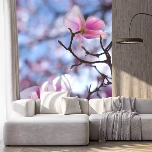 Sticker Magnolien und blauer Himmel