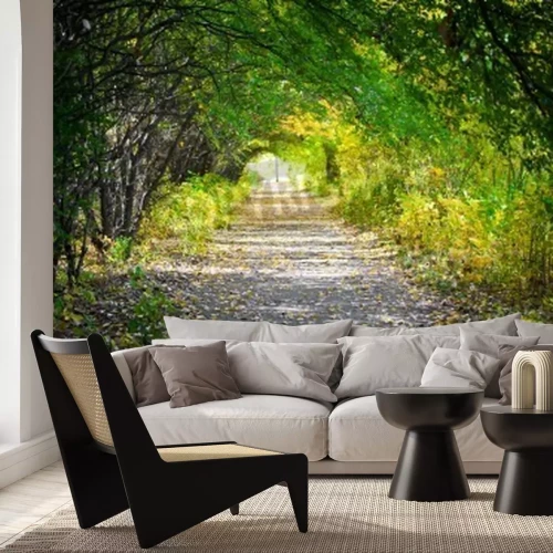 Fototapete Tunnel aus Zweigen