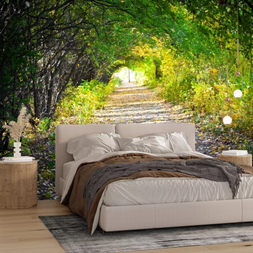 Fototapete Tunnel aus Zweigen