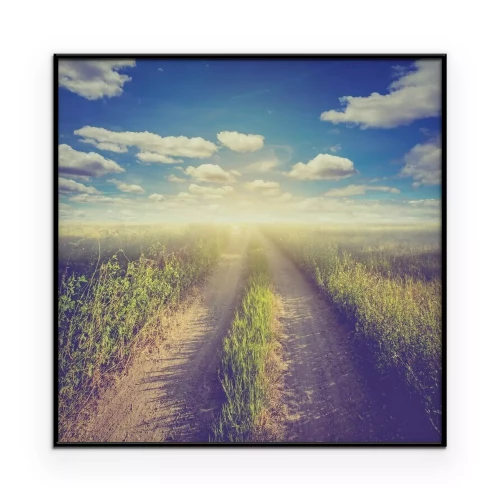 Poster Ein sonniger Feldweg mitten im Sommer
