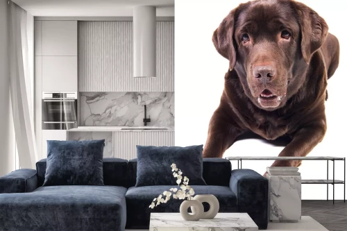 Visualisierung des Produkts