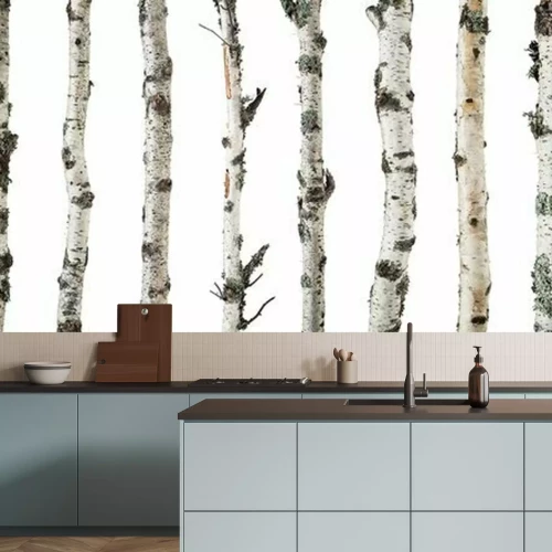 Fototapete Birch trunks isolated on white background