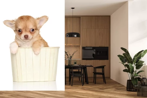 Visualisierung des Produkts