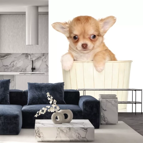 Sticker Chihuahua in einem Holzkorb