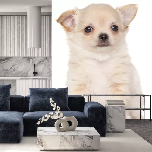 Sticker weißer Welpe auf hellem Hintergrund