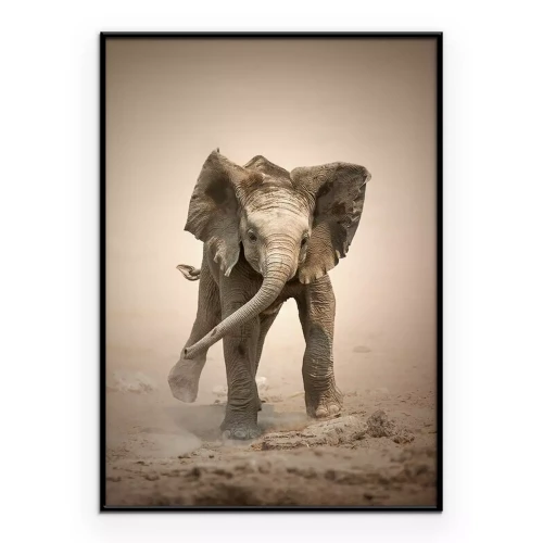 Poster Ein Elefant spielt im Sand