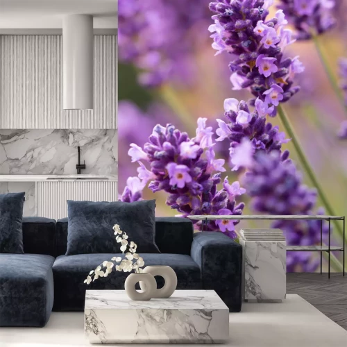 Sticker Lavendelblüten