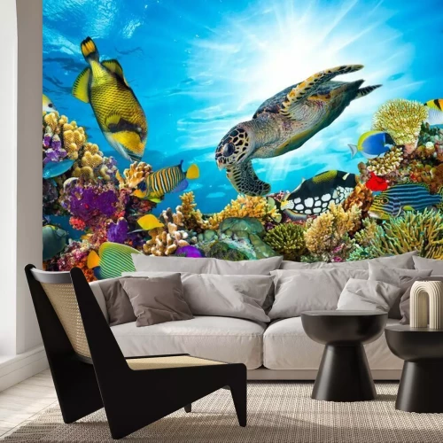 Fototapete Wasserschildkröten und Korallenriff